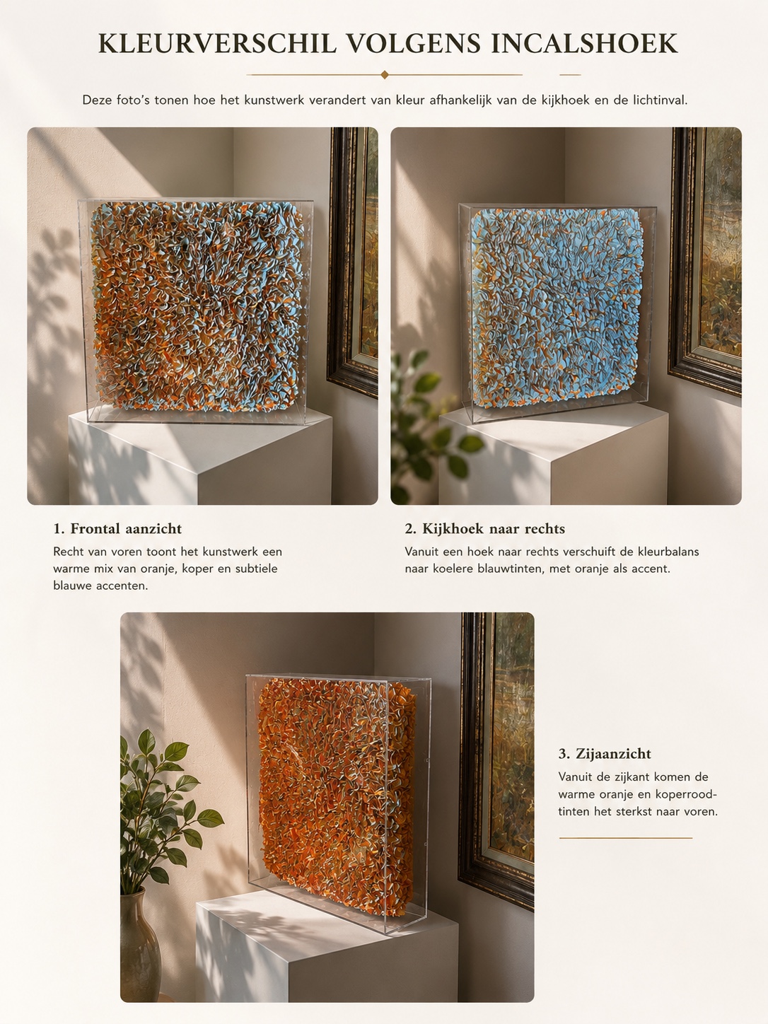 Zhuang Hong Yi 164 Flowerbed: three views showing changing orange and blue tones